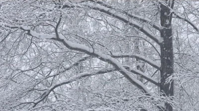 Каждый борется со своей собственной никчёмностью — 1 сезон 8 серия